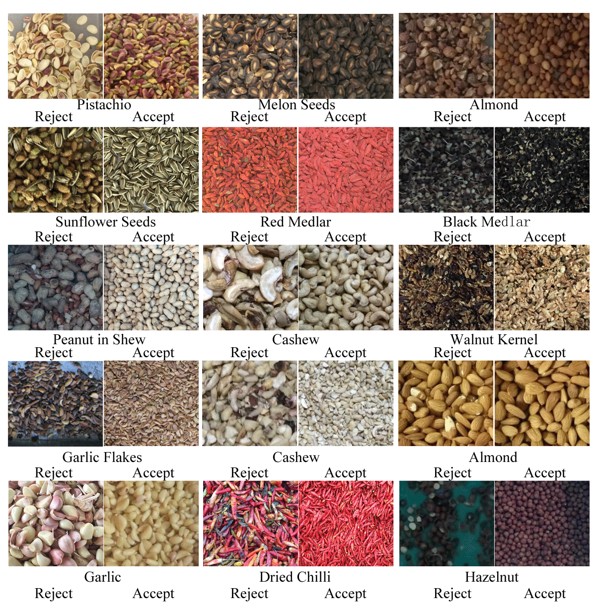 Nuts Color Sorter machine