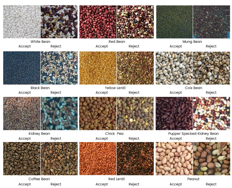 Coffee Beans Color Sorter Sorting Samples