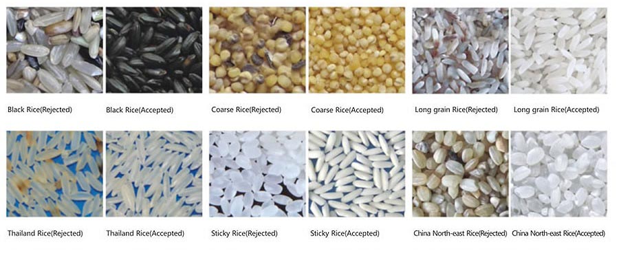 Rice Color Sorter Machine Sorting Samples