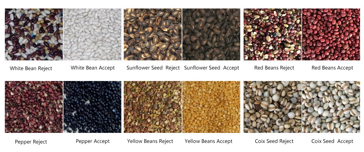 Seeds Color Sorter