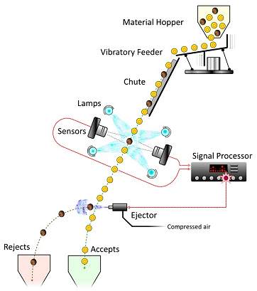 Chute-type color sorter sorting flow