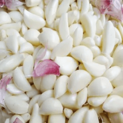 garlic