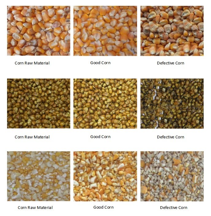 corn color sorter