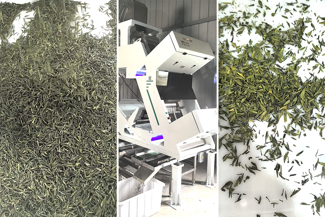 GroTech Tea color sorter