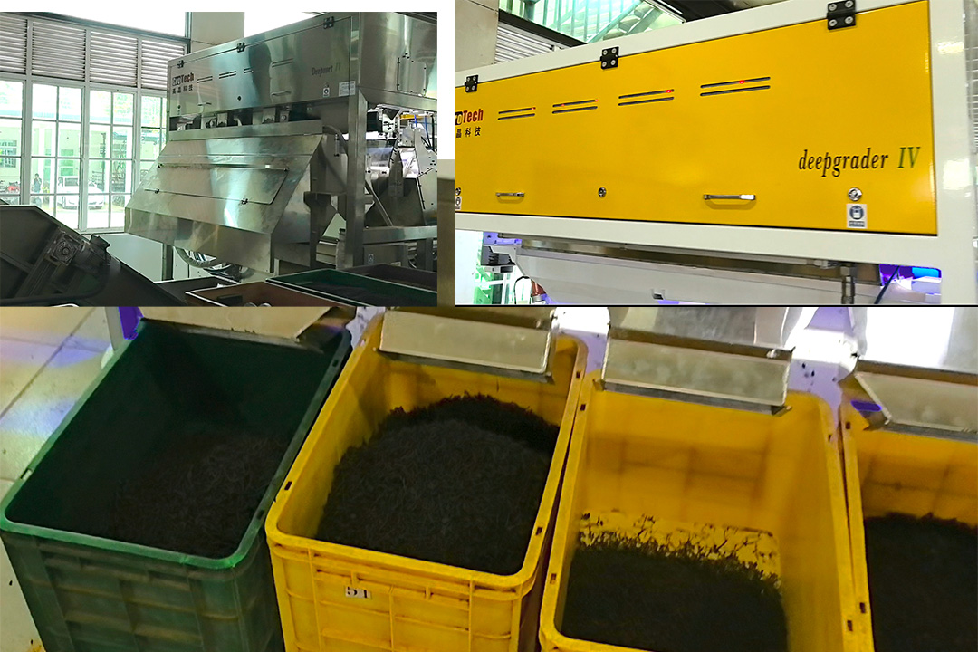 Dual-Machine Synergy for Premium Output 