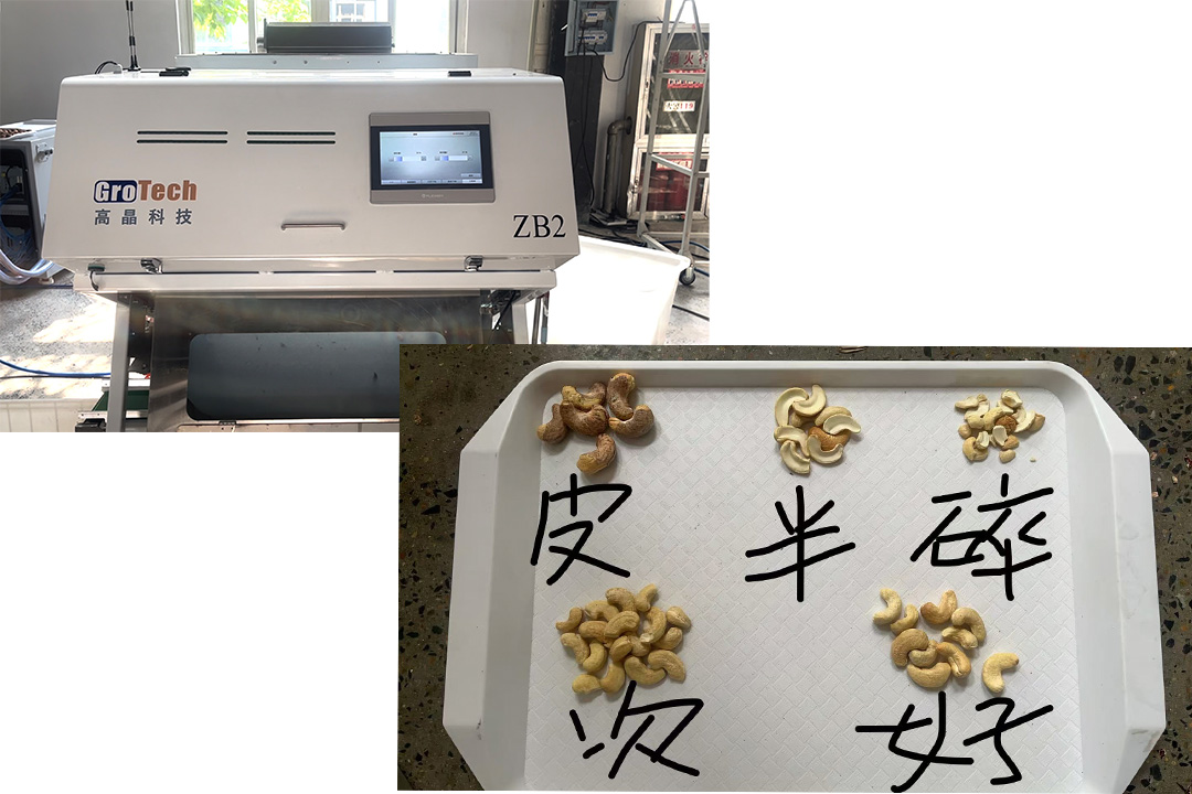 GroTech ZB2 sorting cashews