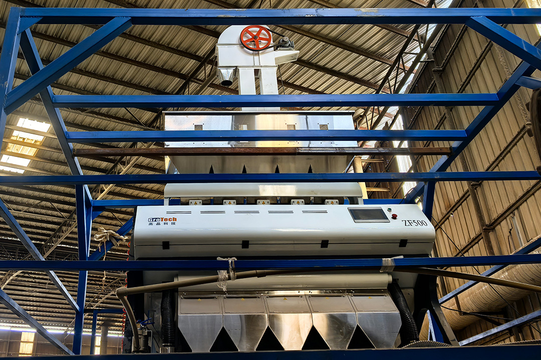 ZF500:GroTech Plastic Color Sorter