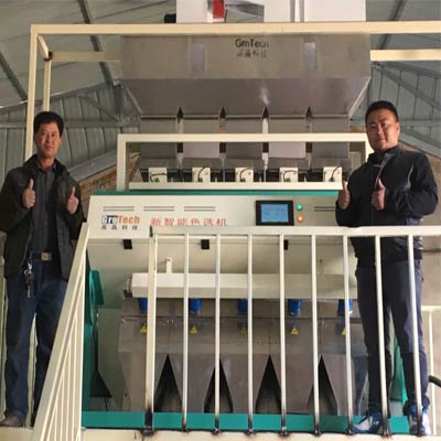 Corn Color Sorter Machine In Gansu,China