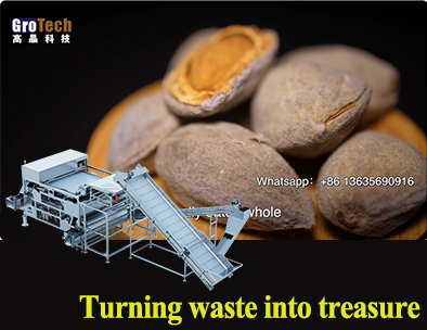 Turning waste into treasure, see how the GroTech color sorter recycles reject materials