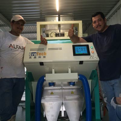 Peanut Color Sorter In Mexico