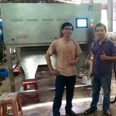 Cashew Color Sorting Machine in Vietnam